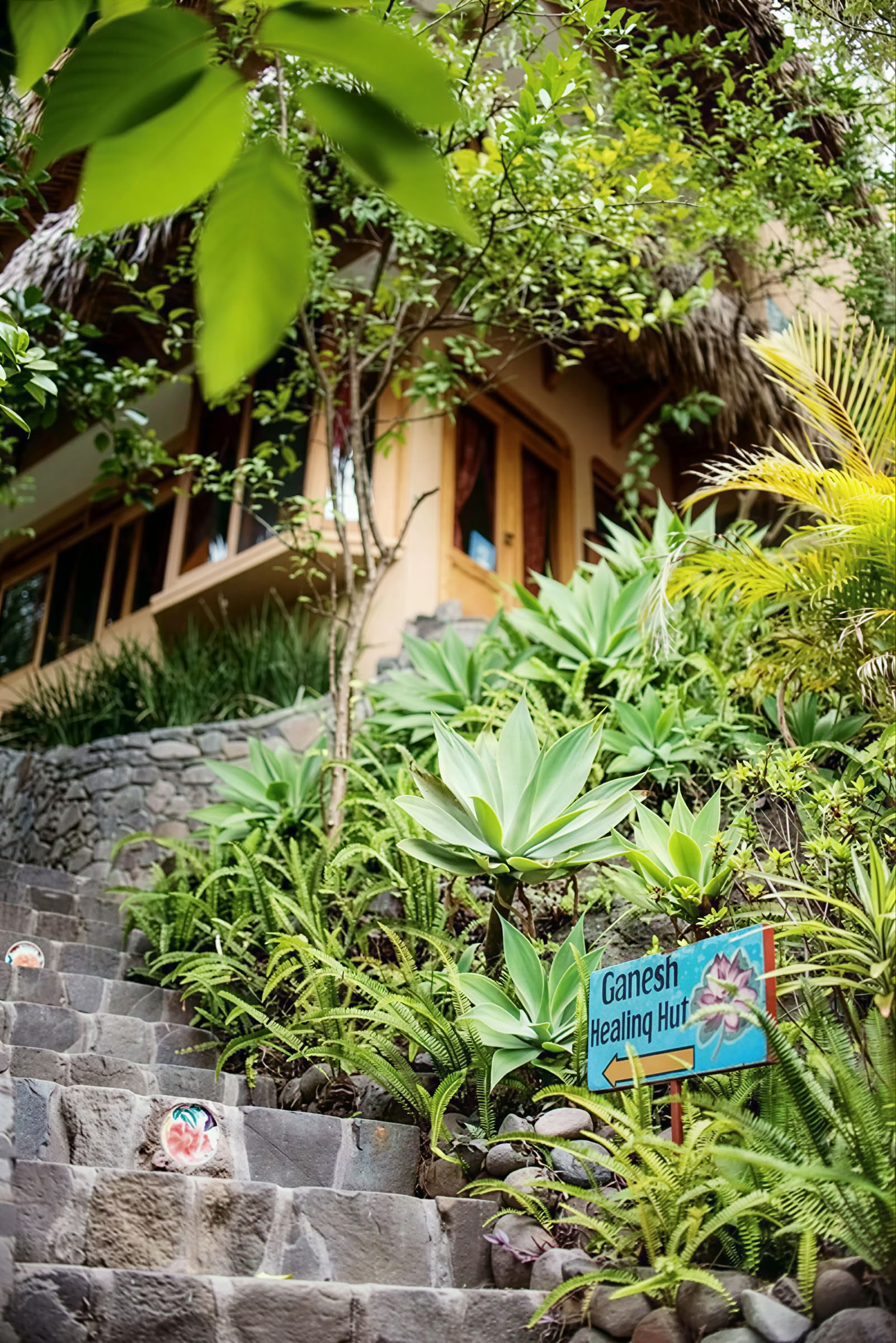 6-daagse yoga-retreat in Guatemala – 12-17 juni 2027 met Michelle Fajkus