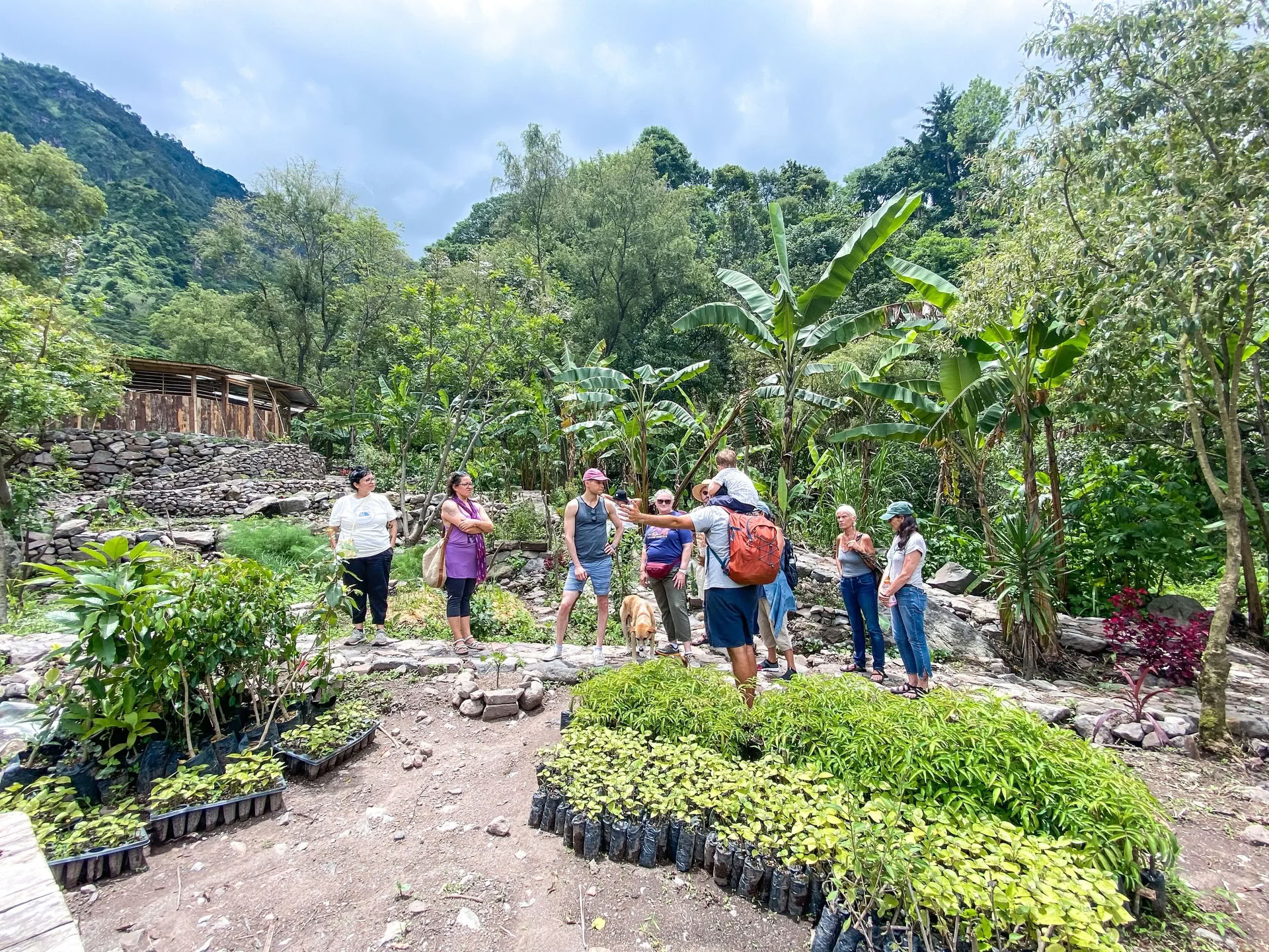6-daagse yoga-retreat in Guatemala – 12-17 juni 2027 met Michelle Fajkus