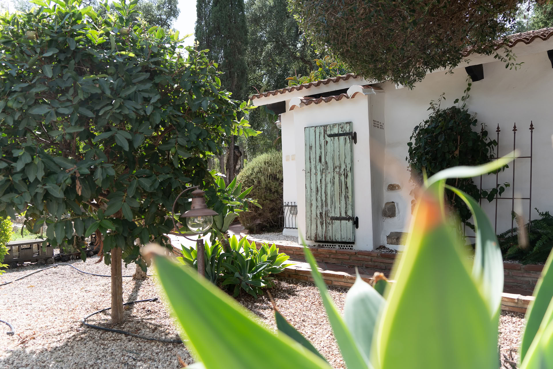 Ashtanga-yoga-retreat in Spanje met Philippa Asher
