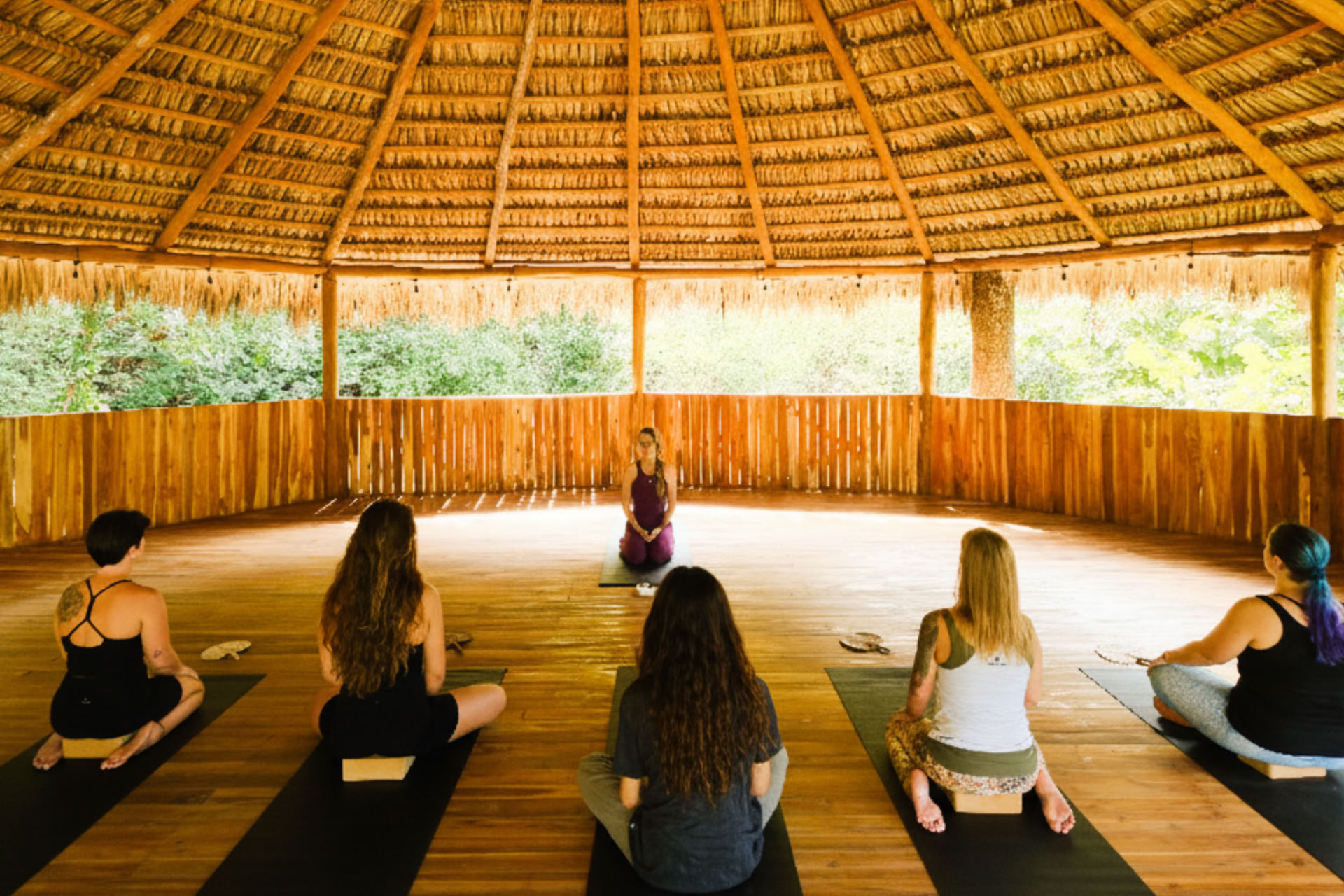 Energetische herovering | 8-daagse vrouwen-, psilocybine- en cacao-immersion