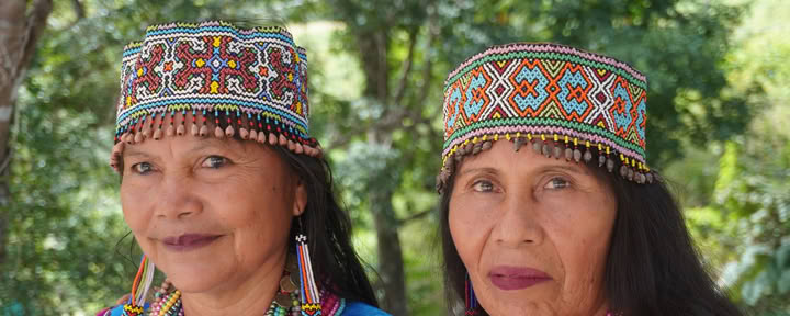 8-daagse | 7-nachten trauma-geïnformeerde Shipibo-ayahuasca-onderdompeling