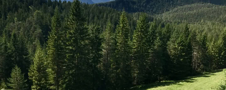 Yoga & wandelen in de Oostenrijkse Alpen
