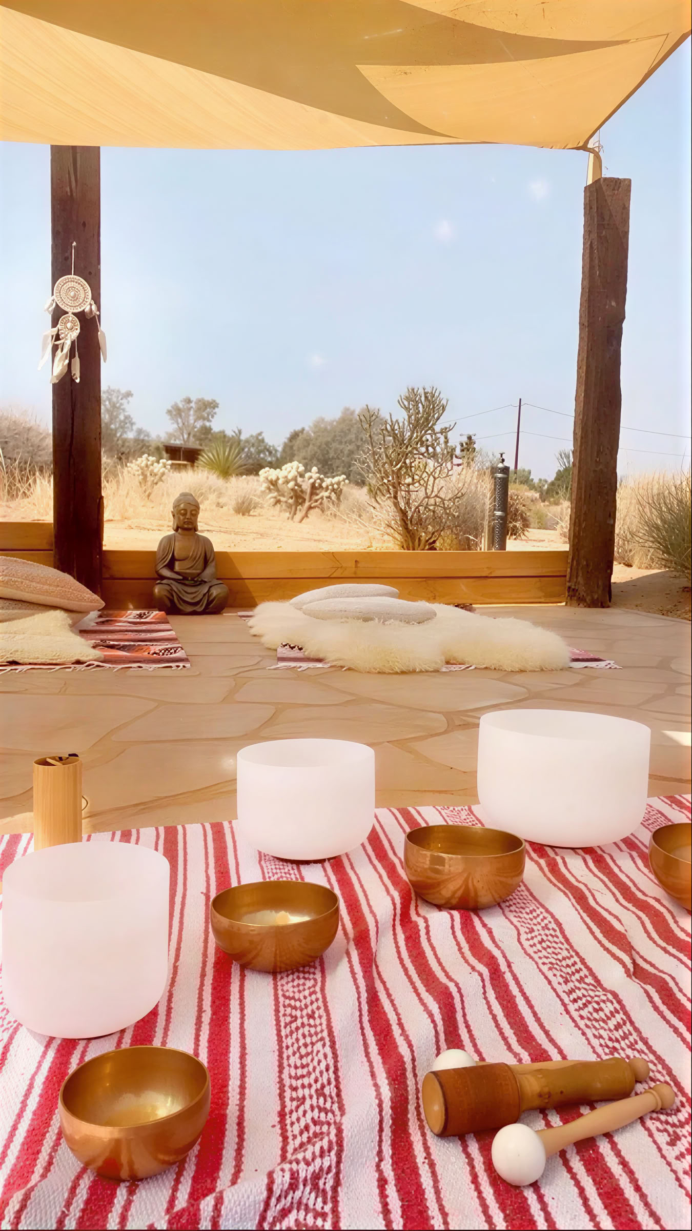 Eendaagse retraitesessie Desert Om in Joshua Tree