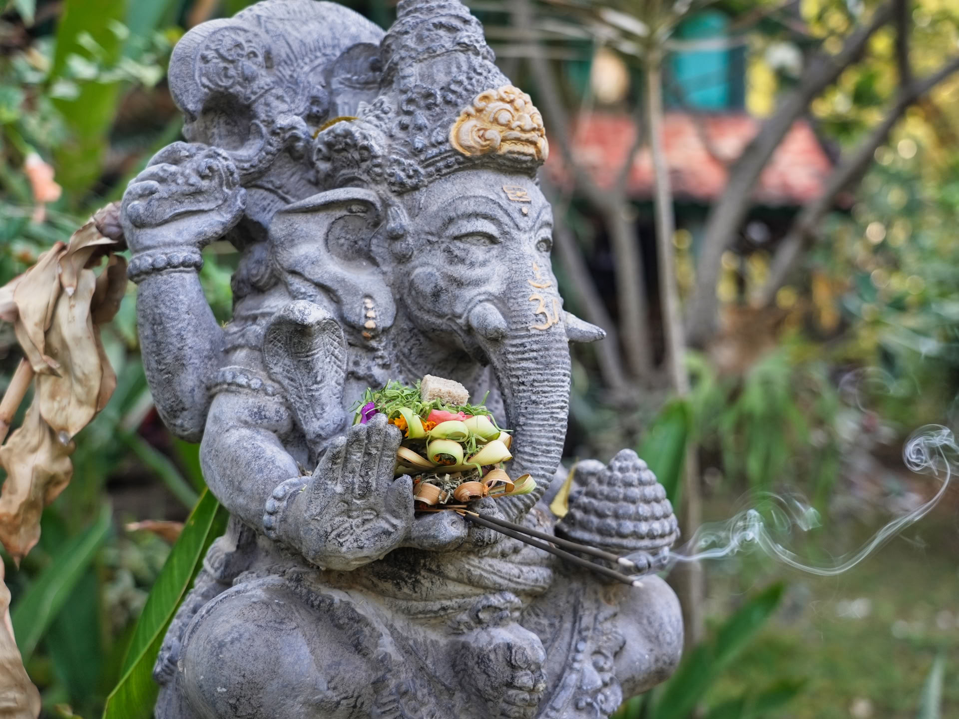 Yoga-lerarenopleiding (TTC)