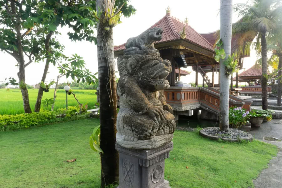 200-uurs yogadocentenopleiding op Bali
