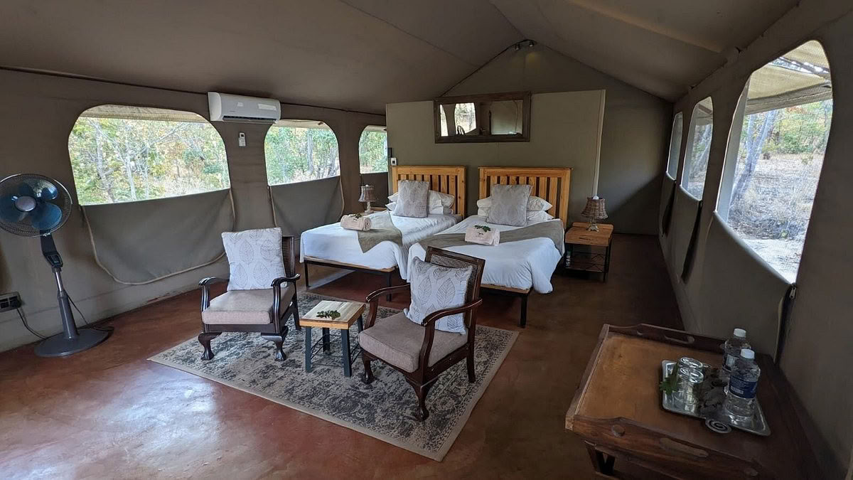 Gezondheids- en wellnesssafari