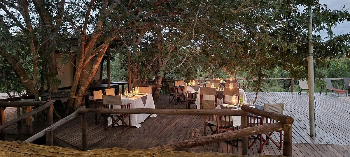 Gezondheids- en wellnesssafari