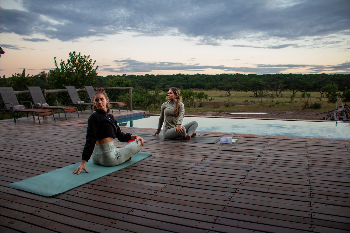 Gezondheids- en wellnesssafari
