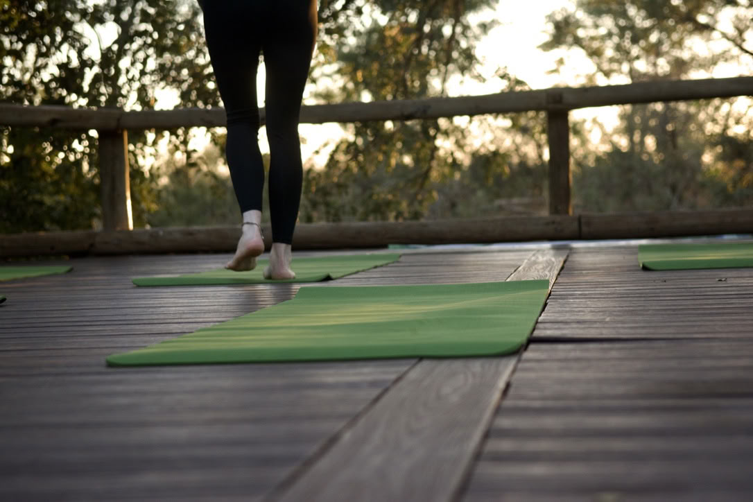 Yoga met olifanten