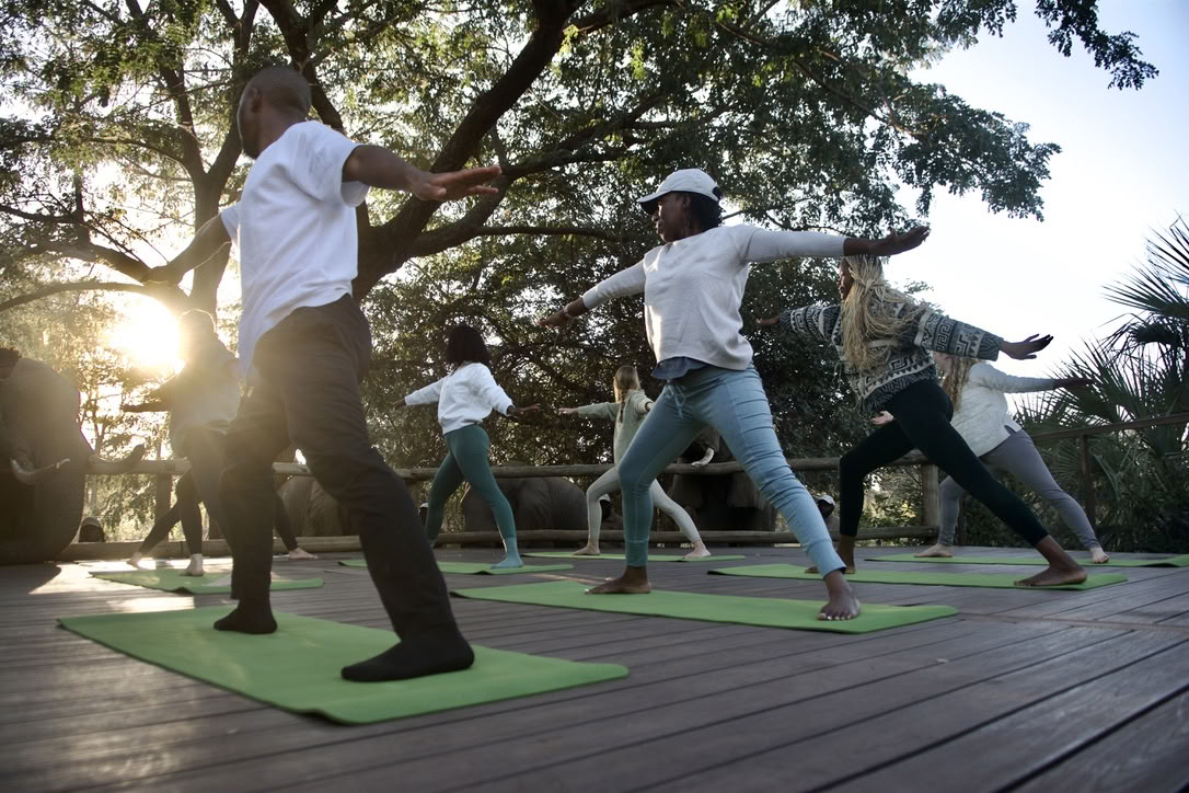 Yoga met olifanten
