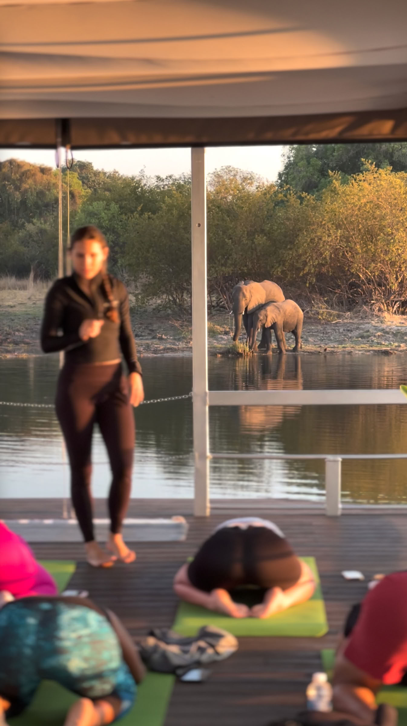 Yoga aan de Zambezi