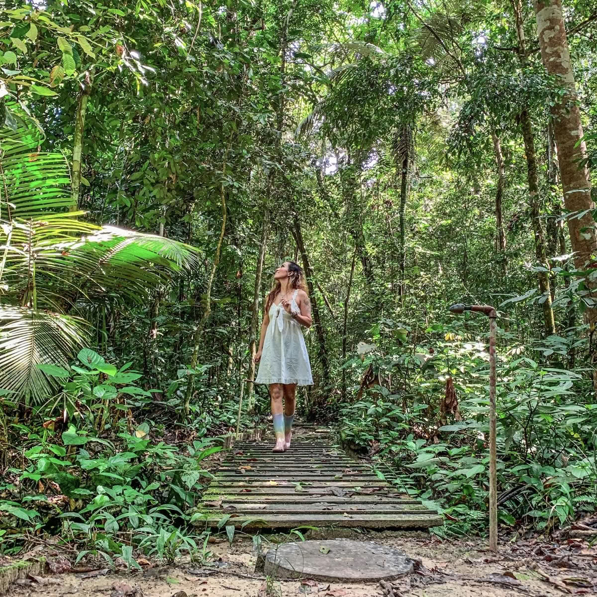 Ayahuasca Verlichtingsretreat December 2026 (8 dagen)