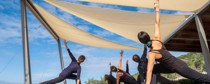 100 uur docent in opleiding: Abhaya Yoga TT