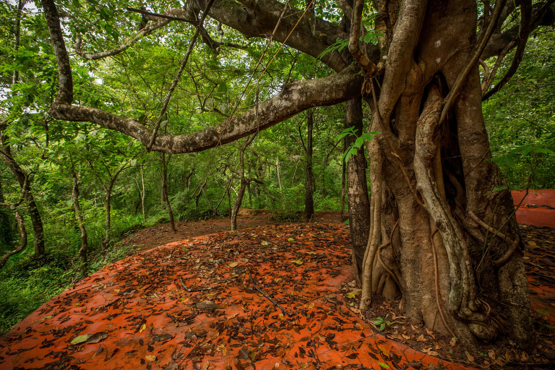 Saundarya Yogaretreat