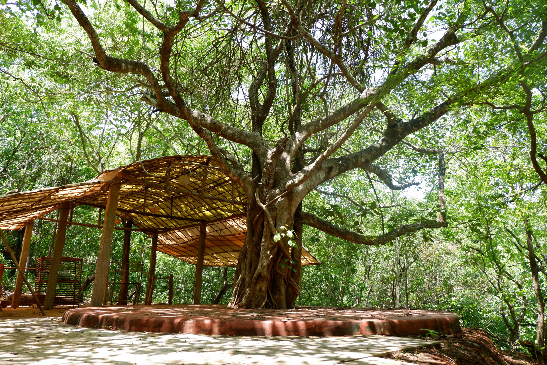 Saundarya Yogaretreat