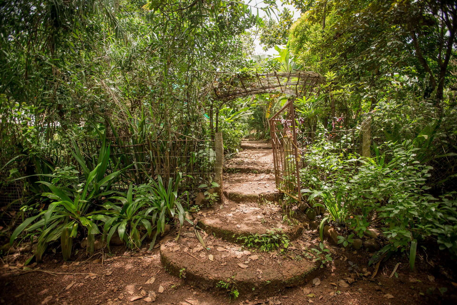 Saundarya Yogaretreat
