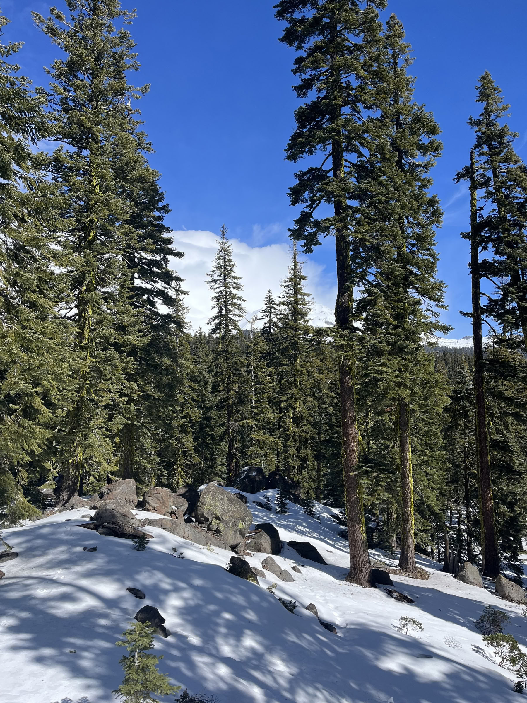 Diepe Innerlijke Rust Retraite: Mt. Shasta, CA