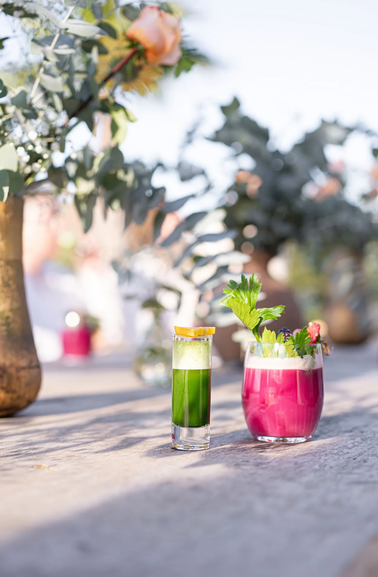 Detox Deluxe Retraite Oktober
