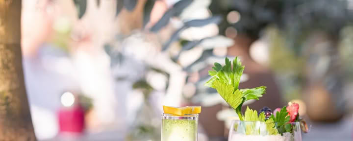Detox Deluxe Retraite Oktober