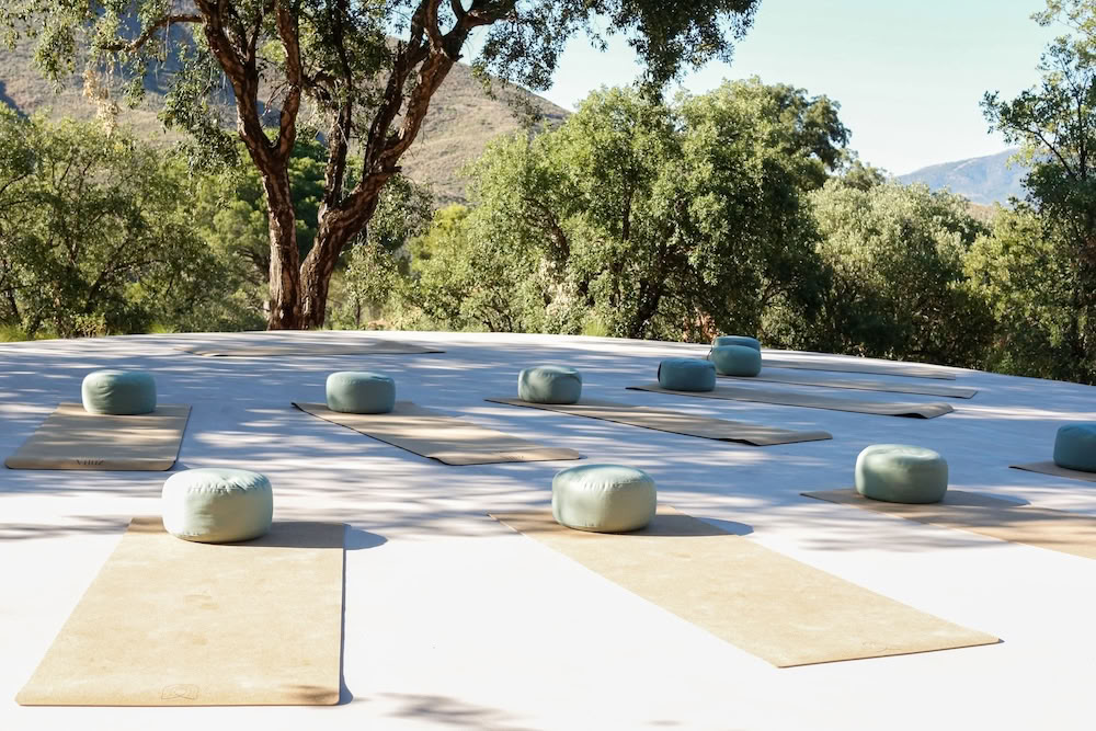 Het stralende zelf - yogaretreat