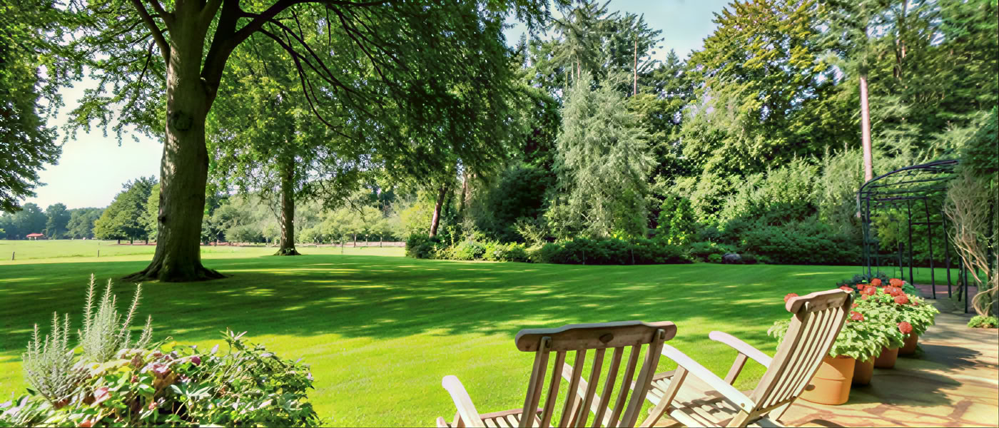 Yoga-retreat in Nederland: 3 dagen van gelukzaligheid