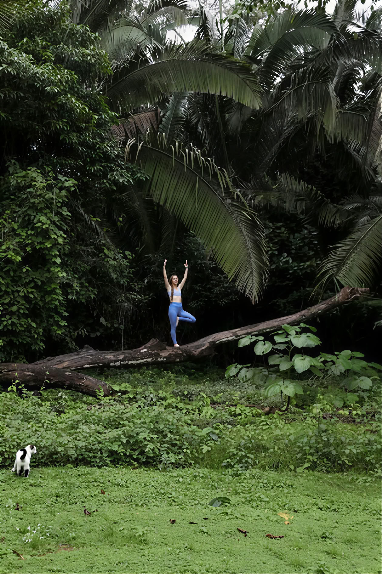 Yoga-retraite in het regenwoud