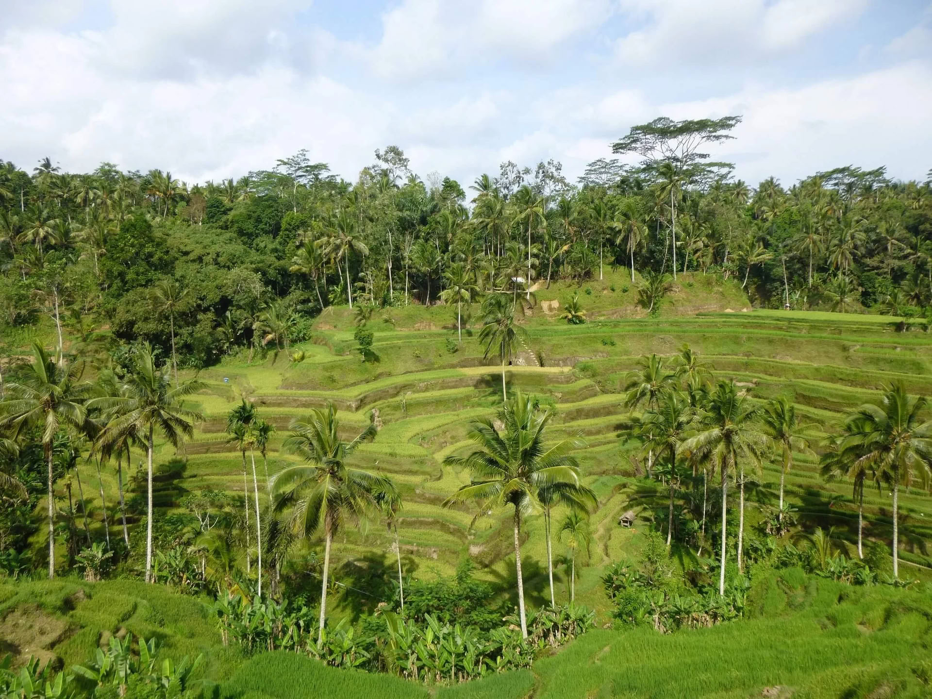 Me-time. Mijn manier. Wellnessretreat op Bali