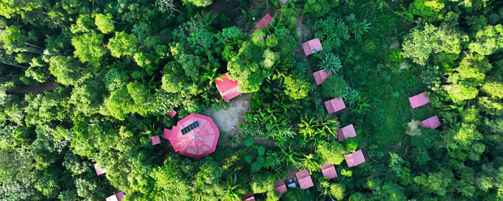 Ayahuasca-retraite Pucallpa