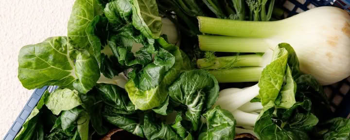 Holistisch Detoxprogramma