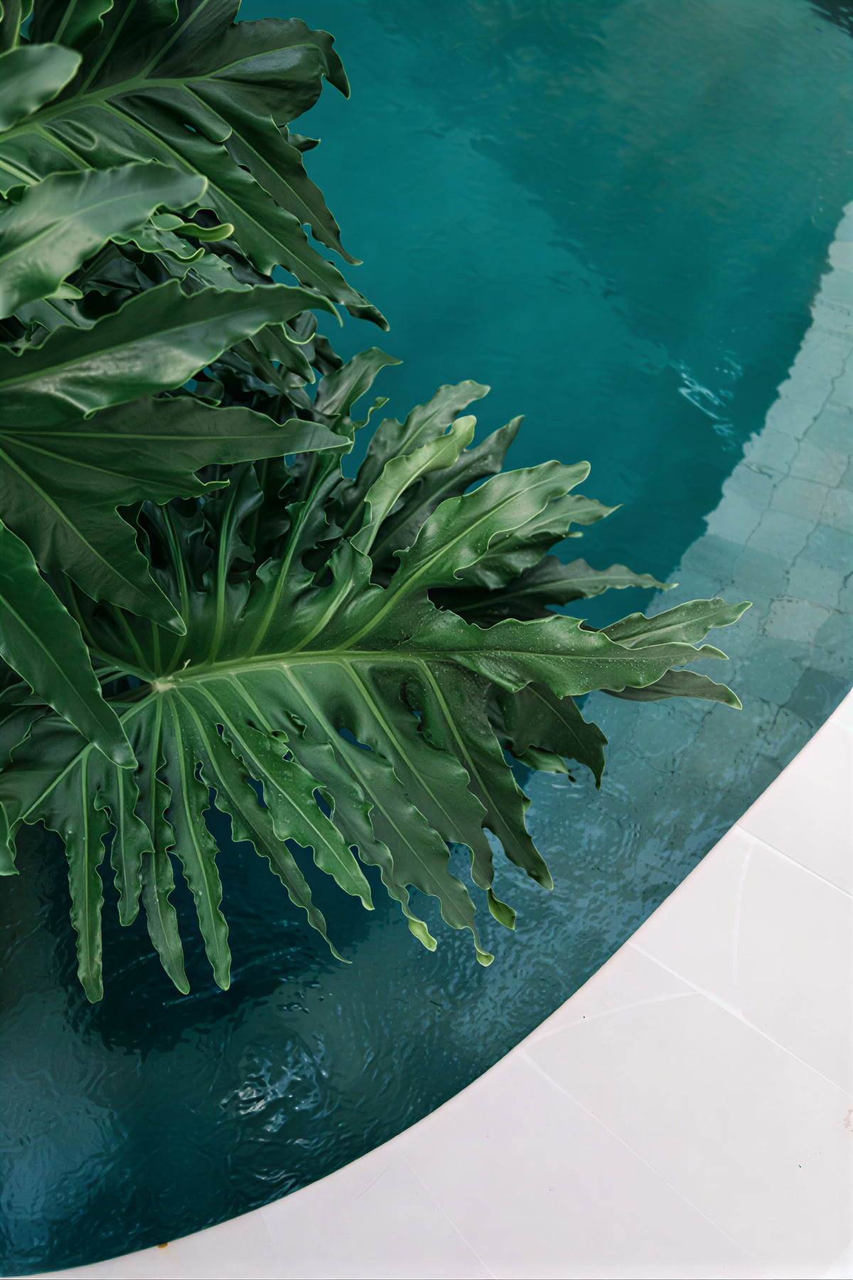 Luxe Pilates