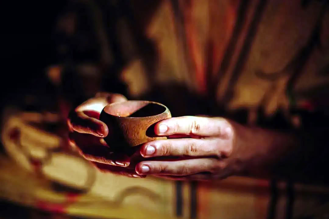 Ayahuasca-retraite voor homo’s en LGBTQ+