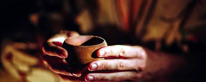 Ayahuasca-retraite voor homo’s en LGBTQ+