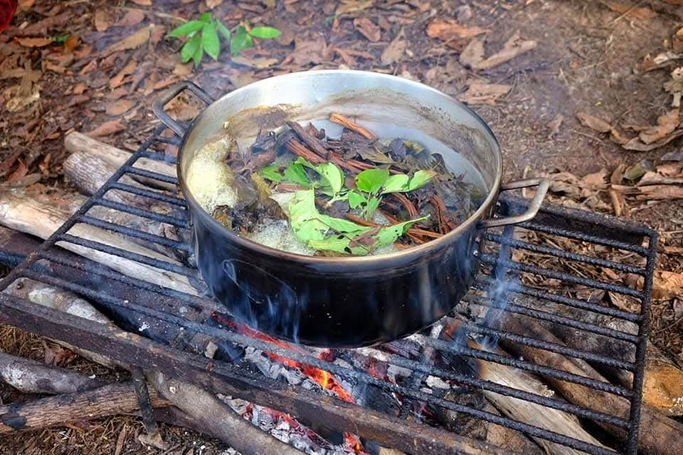 12-daagse Ayahuasca-retreat in Peru bij Selva Madre