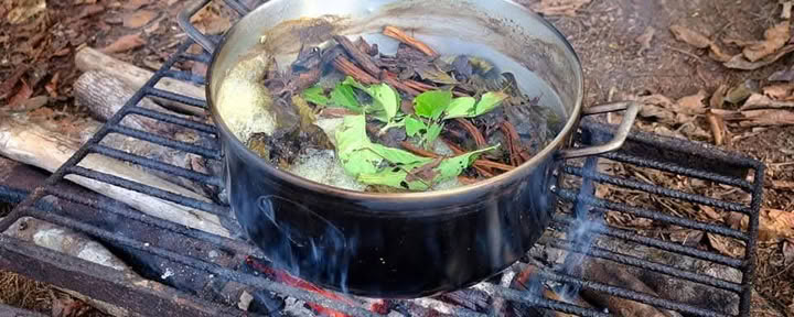 12-daagse Ayahuasca-retreat in Peru bij Selva Madre