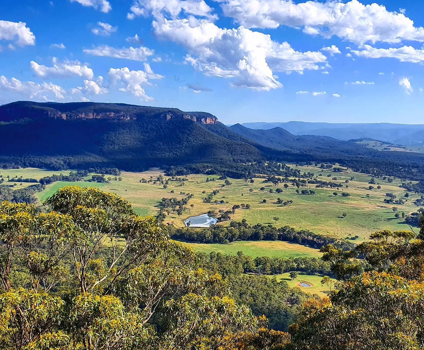 Yoga, klimmen en Japans in de Blue Mountains