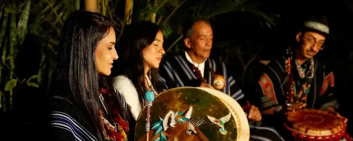 Traditionele Ayahuasca-retraite in Oostenrijk 3 dagen
