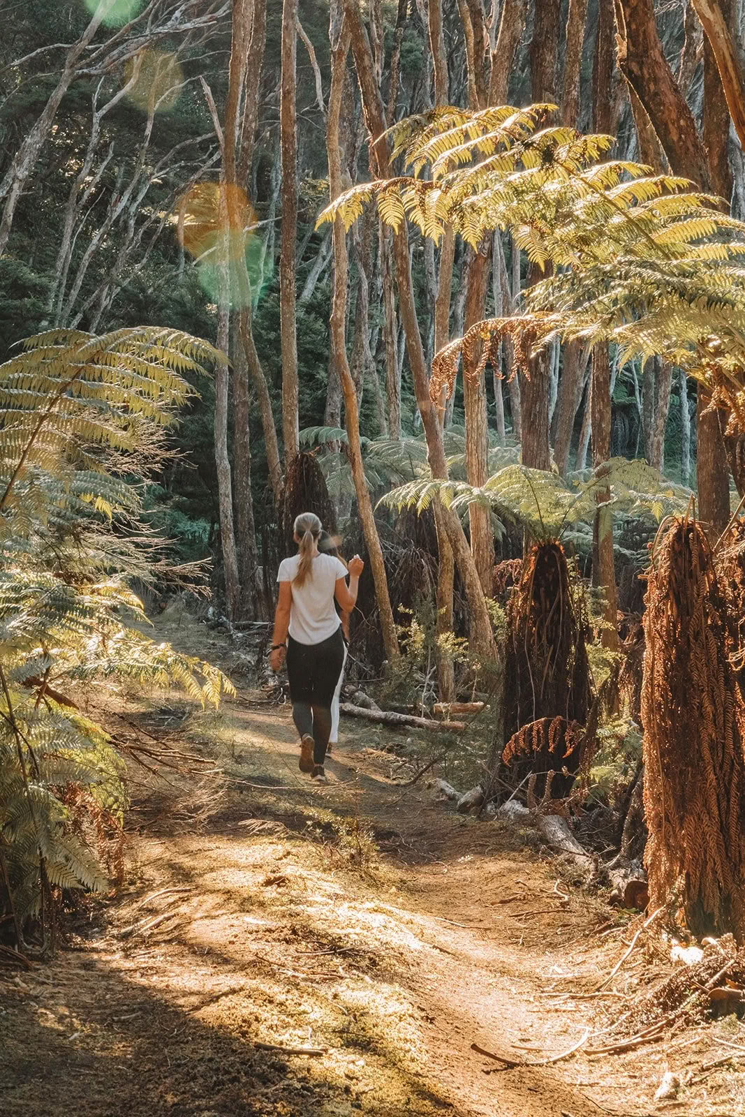 Orakel in de Wildernis Retreat
