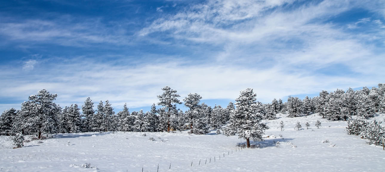 Genezing met de Natuur: een Winterzonnewende-retraite