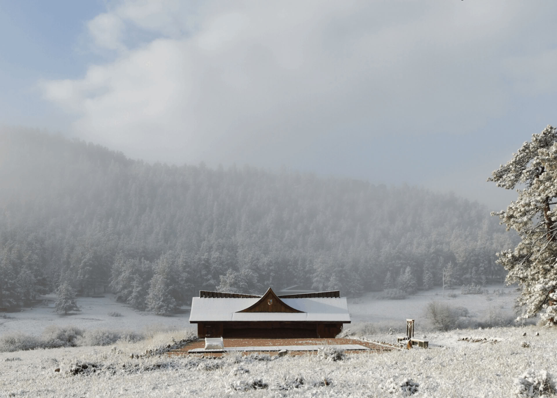 Genezing met de Natuur: een Winterzonnewende-retraite