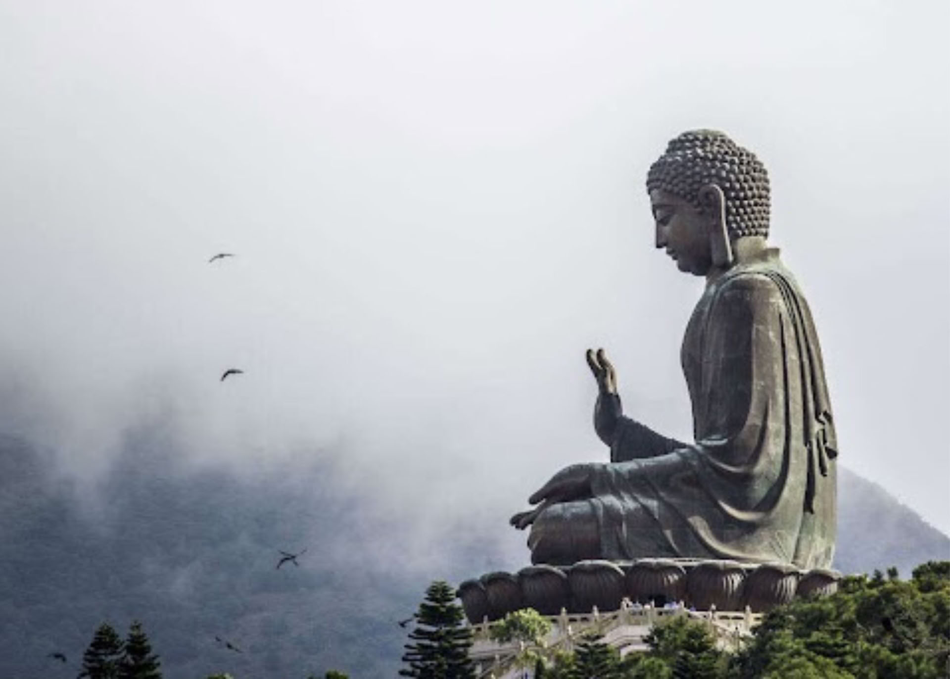 Grondslagen van meditatie II: Verdieping van het pad | 2026
