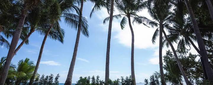 Magische yogaretraite bij Samahita Retreat, Koh Samui, Thailand