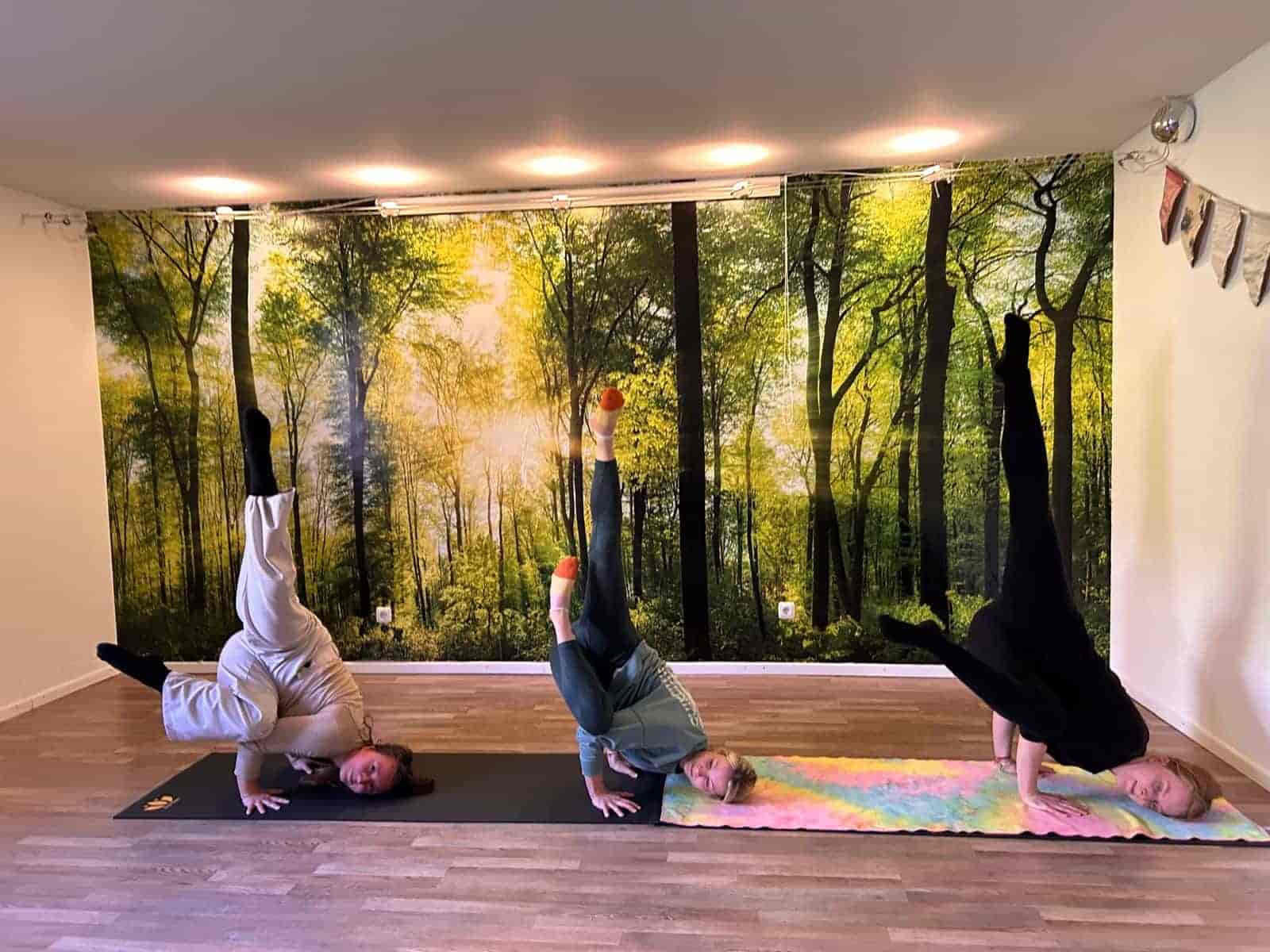 100 uur armbalans-training Duitsland