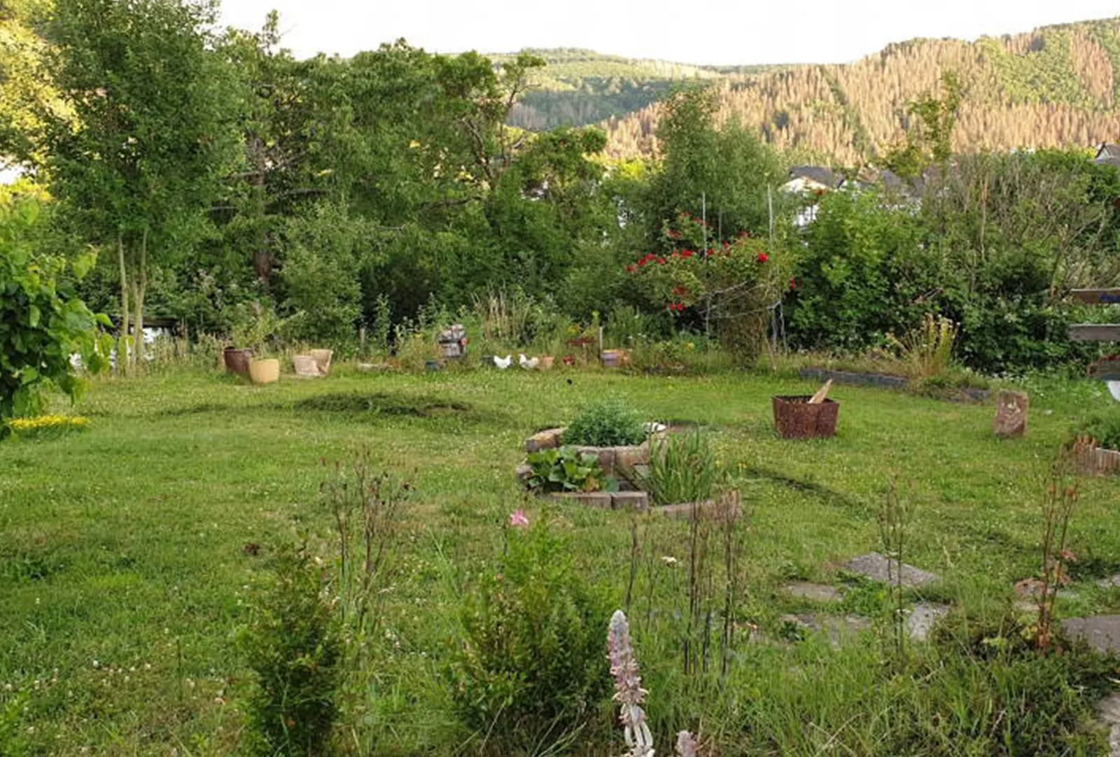 6-daagse yogaretreat in Heimbach, Eifel — mei 2026