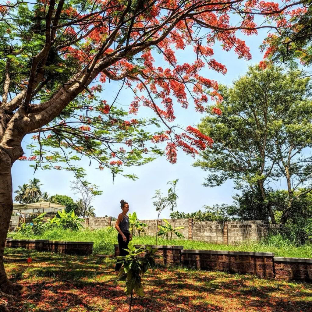 Patanjali Yoga Sutra-cursus