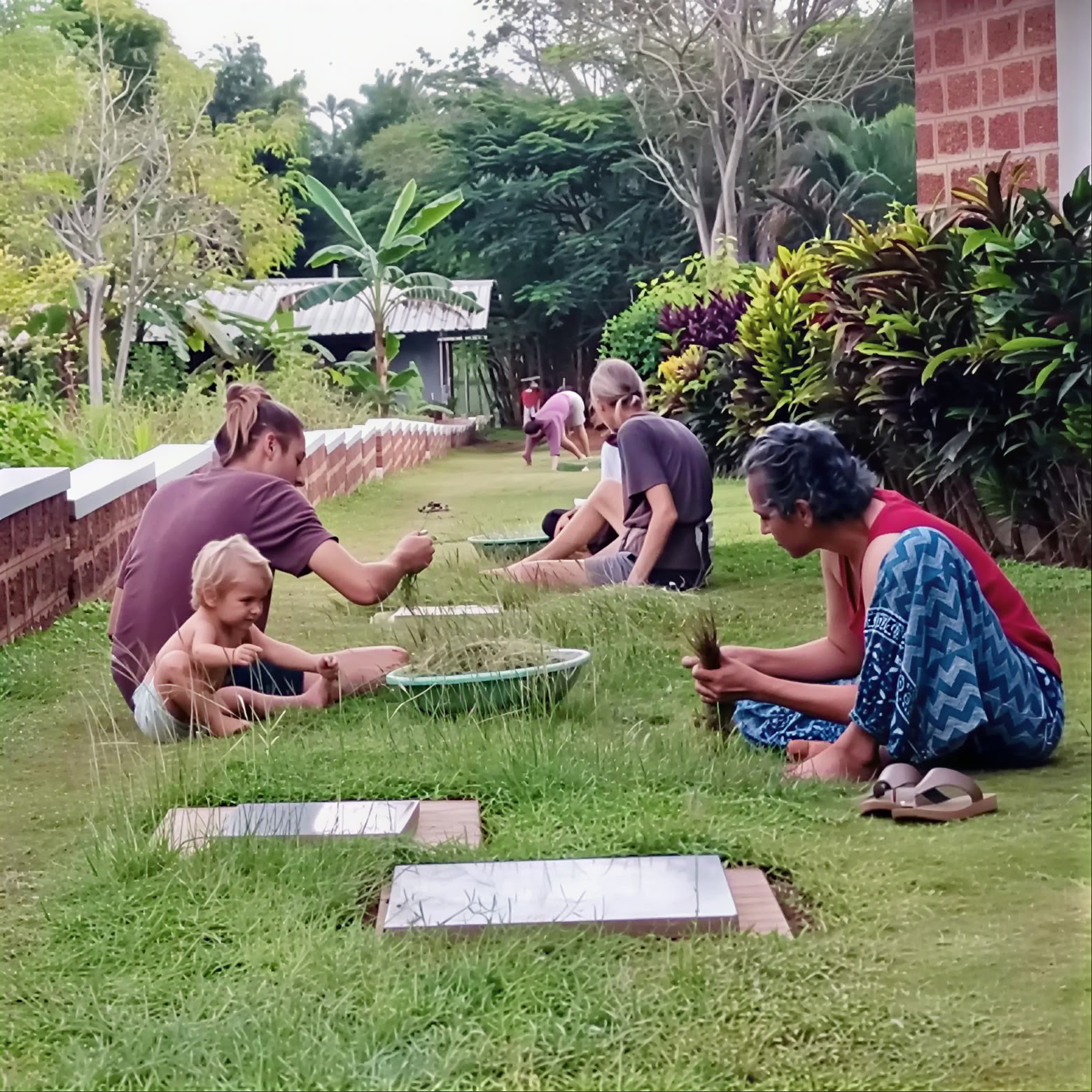 Patanjali Yoga Sutra-cursus