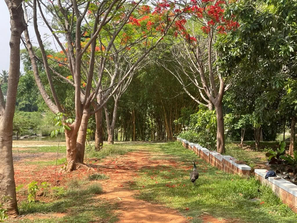 Patanjali Yoga Sutra-cursus