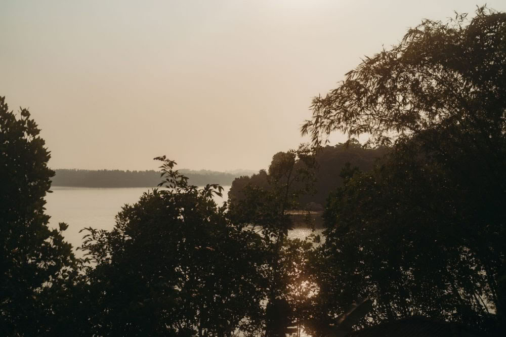 200-uurs Synergy Vinyasa-yoga-docentenopleiding – september 2026