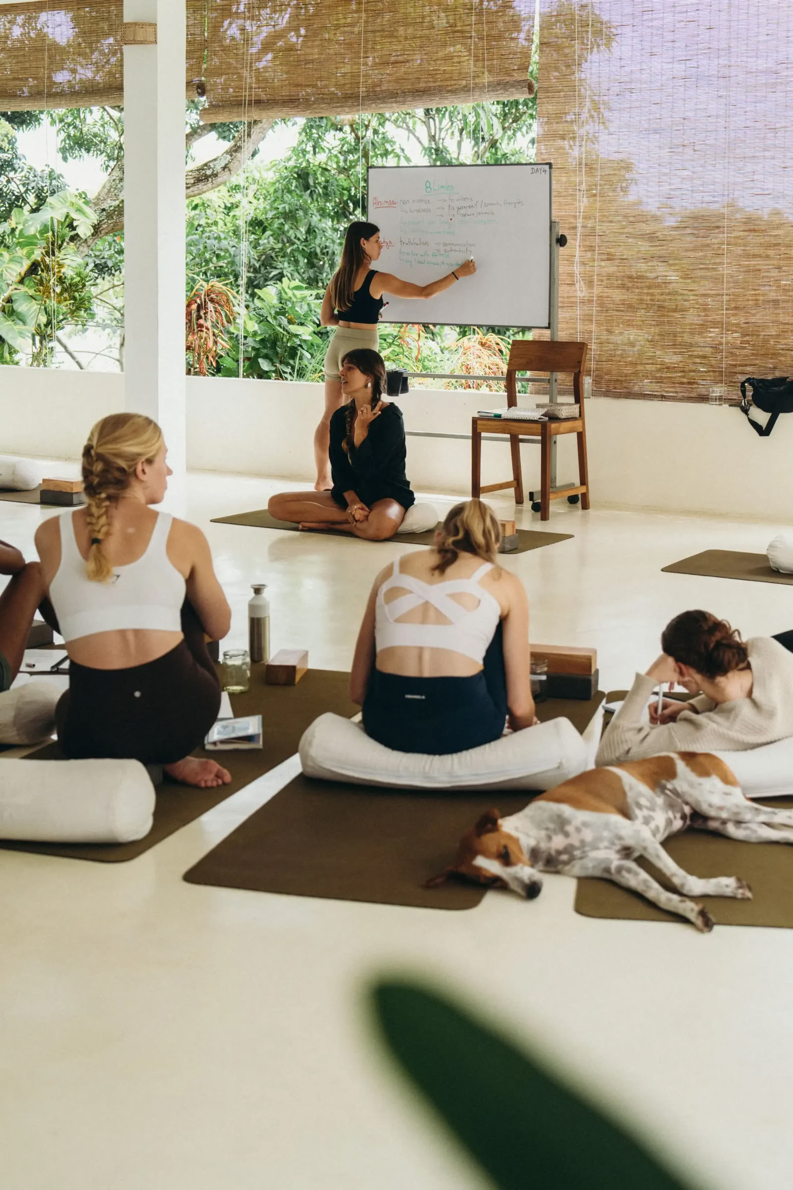 100-Uurs Vinyasa- en Yin-yogadocentenopleiding