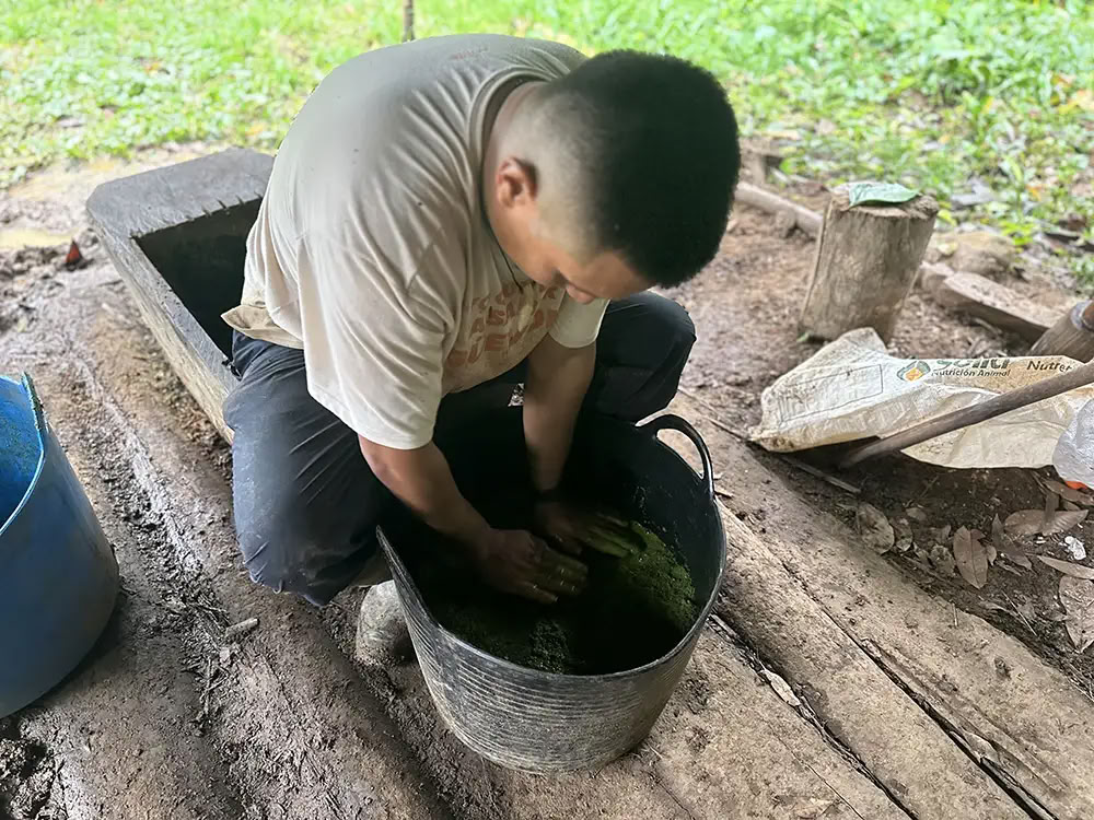 Ayahuasca-retreat met geneeskrachtige sjamaan Taita Miguel