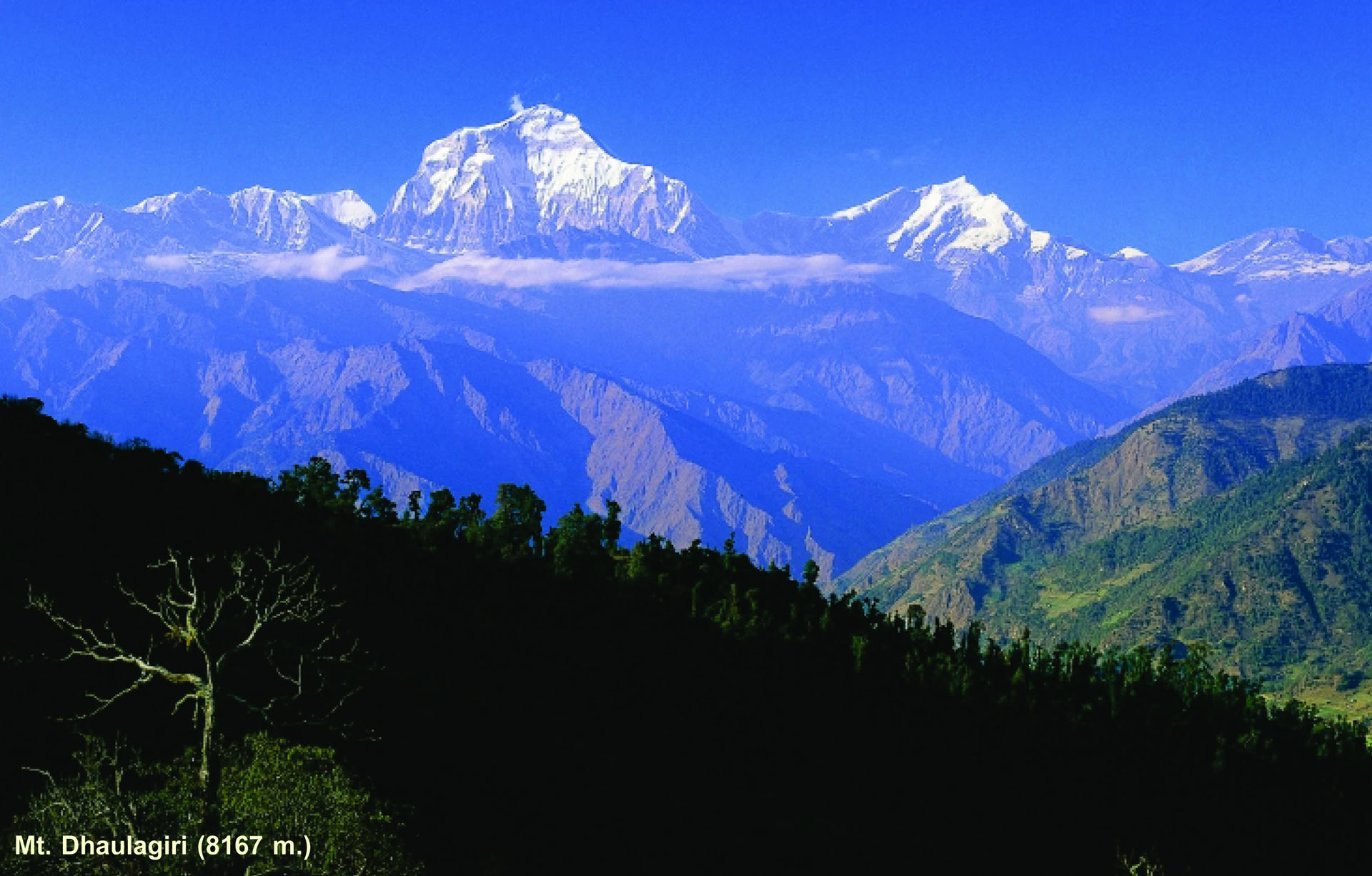 Machhapuchhre-trek en verkenning van de Himalaya, 11 dagen